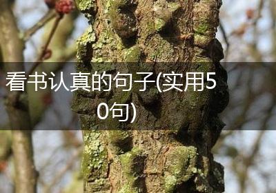 看书认真的句子(实用50句)