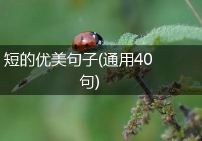 短的优美句子(通用40句)