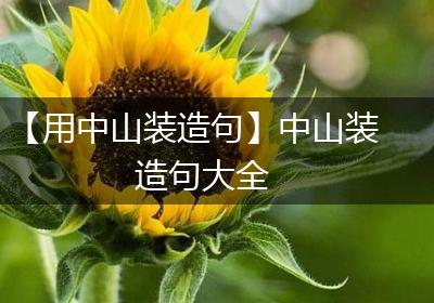 【用中山装造句】中山装造句大全