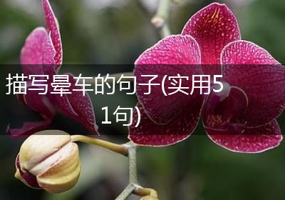 描写晕车的句子(实用51句)