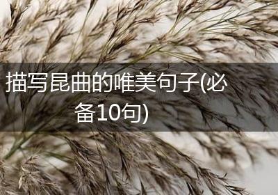 描写昆曲的唯美句子(必备10句)