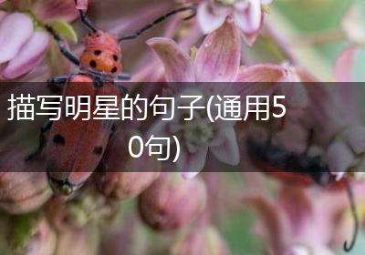 描写明星的句子(通用50句)
