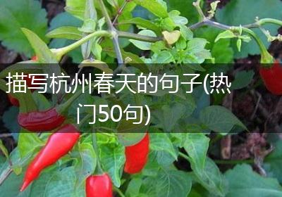 描写杭州春天的句子(热门50句)