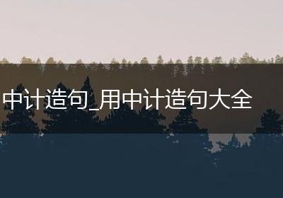 中计造句_用中计造句大全