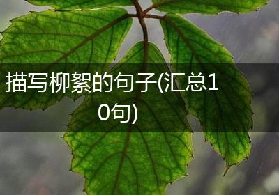 描写柳絮的句子(汇总10句)