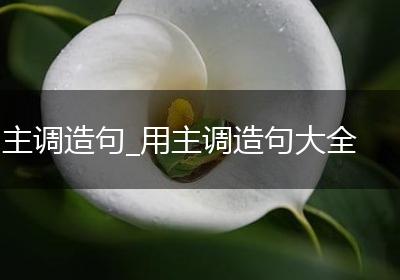 主调造句_用主调造句大全