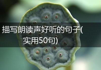 描写朗读声好听的句子(实用50句)