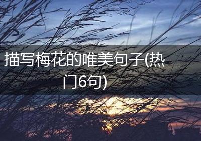 描写梅花的唯美句子(热门6句)