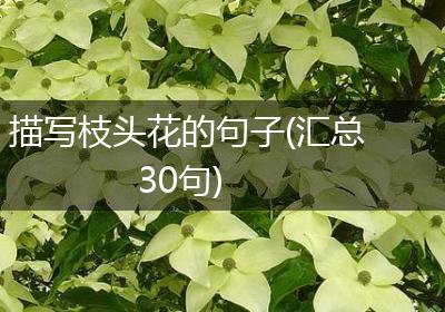描写枝头花的句子(汇总30句)
