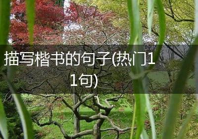 描写楷书的句子(热门11句)