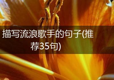 描写流浪歌手的句子(推荐35句)