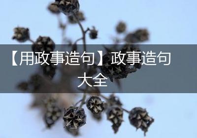 【用政事造句】政事造句大全