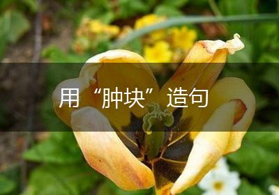 用“肿块”造句