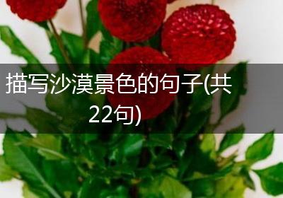 描写沙漠景色的句子(共22句)