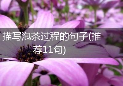 描写泡茶过程的句子(推荐11句)