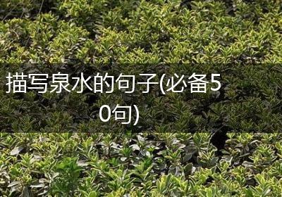 描写泉水的句子(必备50句)