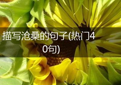 描写沧桑的句子(热门40句)
