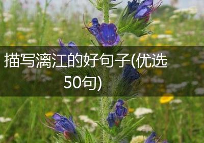 描写漓江的好句子(优选50句)