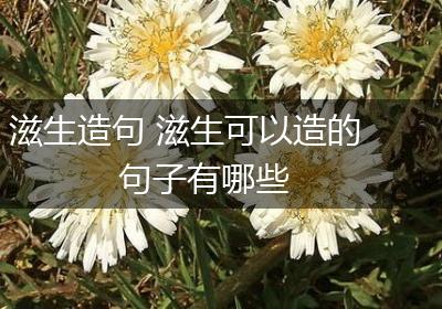 滋生造句 滋生可以造的句子有哪些