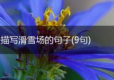 描写滑雪场的句子(9句)