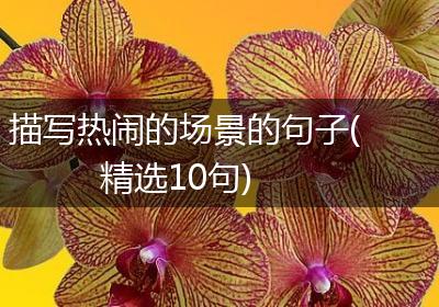 描写热闹的场景的句子(精选10句)