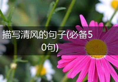 描写清风的句子(必备50句)