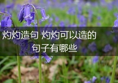 灼灼造句 灼灼可以造的句子有哪些