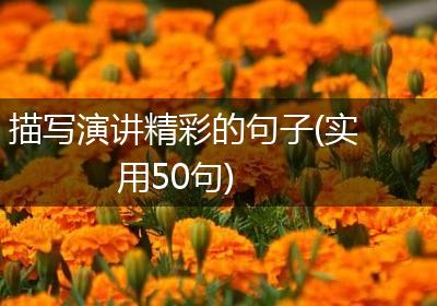 描写演讲精彩的句子(实用50句)