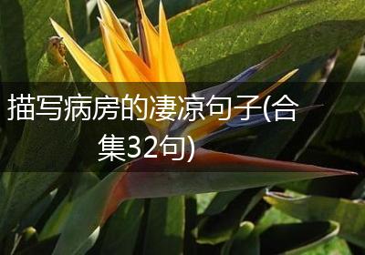描写病房的凄凉句子(合集32句)