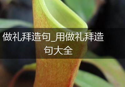 做礼拜造句_用做礼拜造句大全