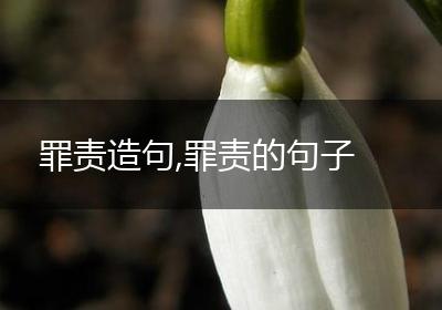 罪责造句,罪责的句子