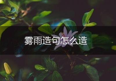 雾雨造句怎么造