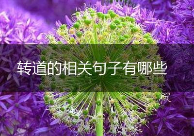 转道的相关句子有哪些