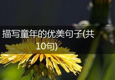 描写童年的优美句子(共10句)