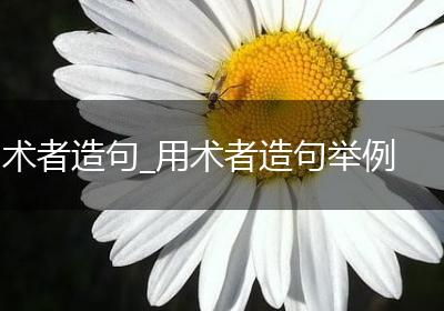 术者造句_用术者造句举例