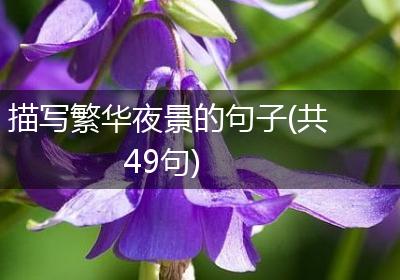 描写繁华夜景的句子(共49句)