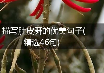 描写肚皮舞的优美句子(精选46句)