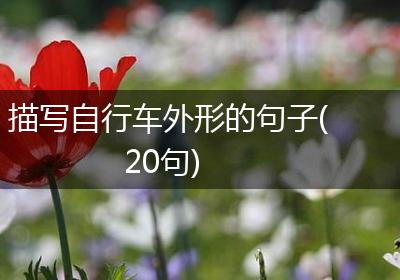 描写自行车外形的句子(20句)