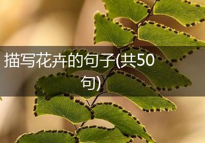描写花卉的句子(共50句)
