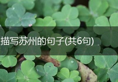 描写苏州的句子(共6句)