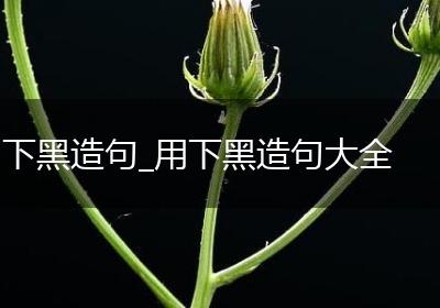 下黑造句_用下黑造句大全