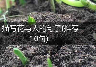 描写花与人的句子(推荐10句)