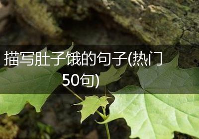 描写肚子饿的句子(热门50句)