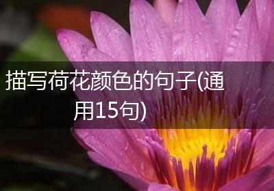 描写荷花颜色的句子(通用15句)