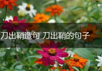 刀出鞘造句 刀出鞘的句子