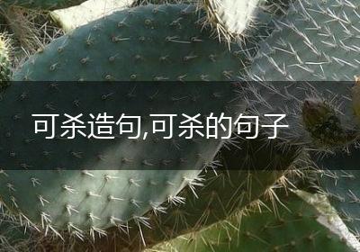 可杀造句,可杀的句子