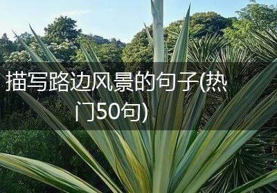 描写路边风景的句子(热门50句)