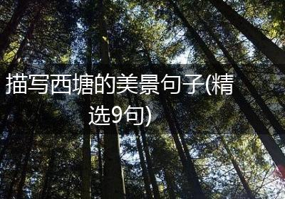 描写西塘的美景句子(精选9句)