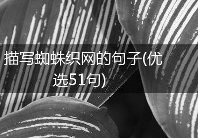 描写蜘蛛织网的句子(优选51句)
