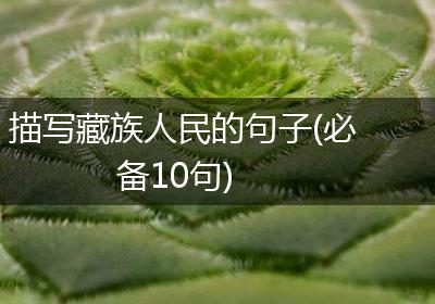 描写藏族人民的句子(必备10句)